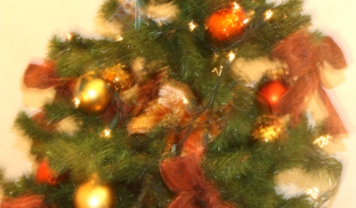 2011.12.20-2.jpg